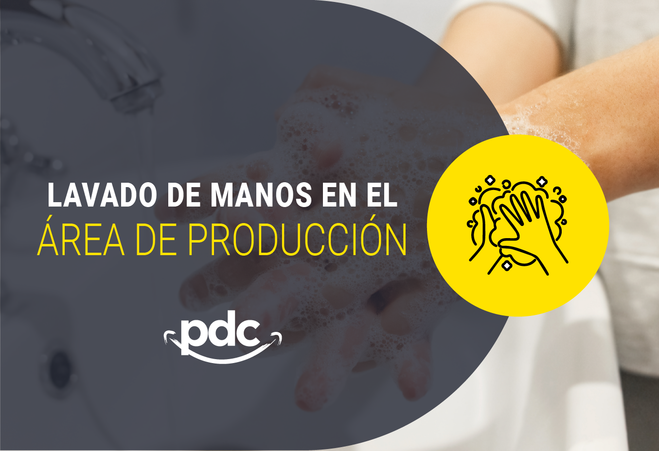 Lavado de Manos en el Área de Producción