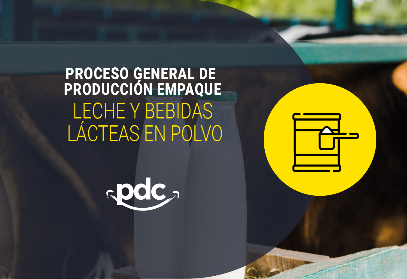 Proceso general de producción empaque de leche y bebida láctea en polvo