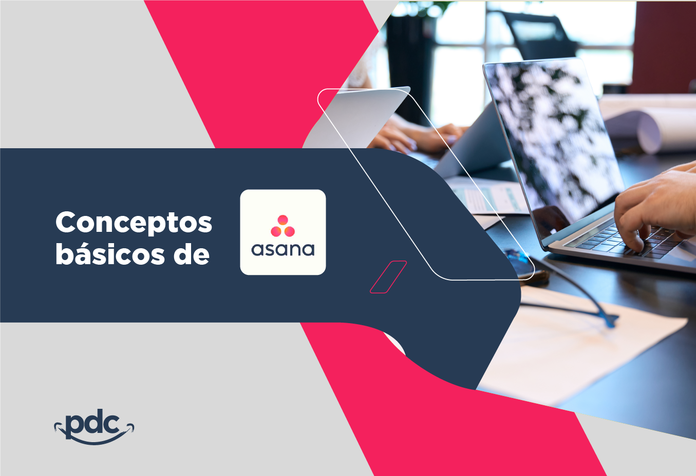 Conceptos básicos de Asana